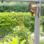 Tuin Eekhoorn